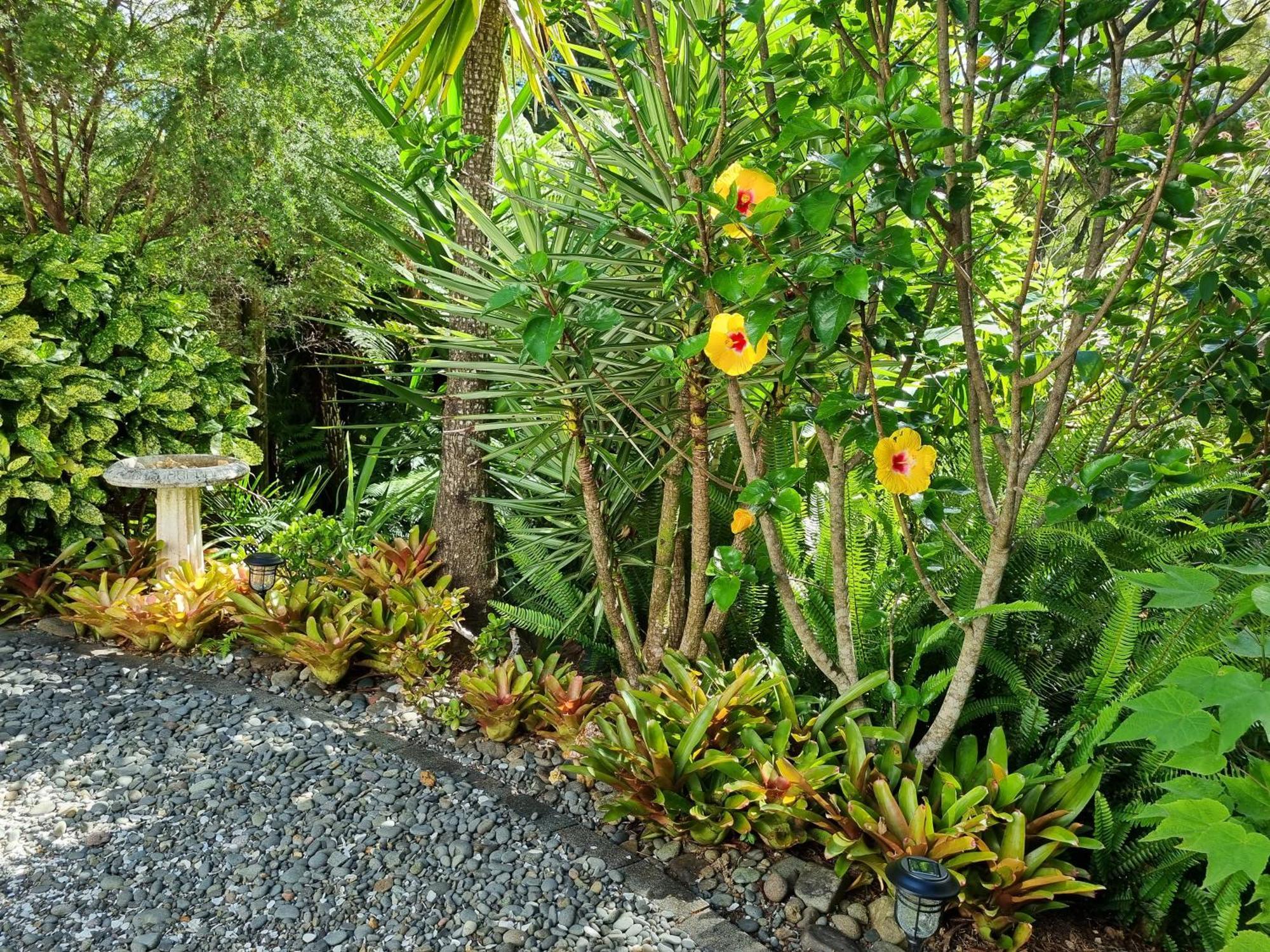 Coromandel Eco Sanctuary Villa Exterior photo